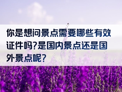 你是想问景点需要哪些有效证件吗？是国内景点还是国外景点呢？