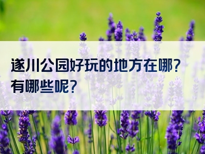 遂川公园好玩的地方在哪？有哪些呢？