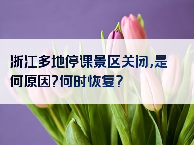 浙江多地停课景区关闭，是何原因？何时恢复？