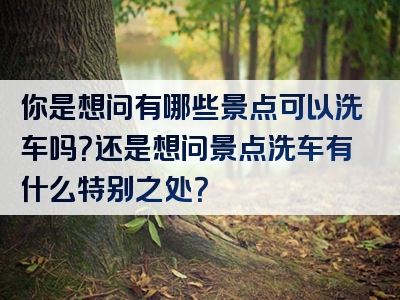 你是想问有哪些景点可以洗车吗？还是想问景点洗车有什么特别之处？