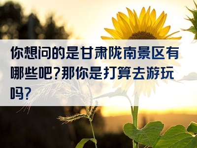 你想问的是甘肃陇南景区有哪些吧？那你是打算去游玩吗？