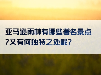 亚马逊雨林有哪些著名景点？又有何独特之处呢？