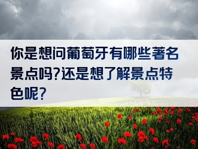 你是想问葡萄牙有哪些著名景点吗？还是想了解景点特色呢？