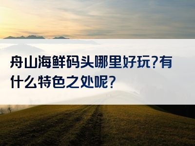 舟山海鲜码头哪里好玩？有什么特色之处呢？