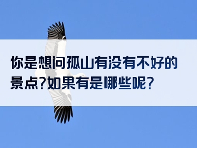 你是想问孤山有没有不好的景点？如果有是哪些呢？