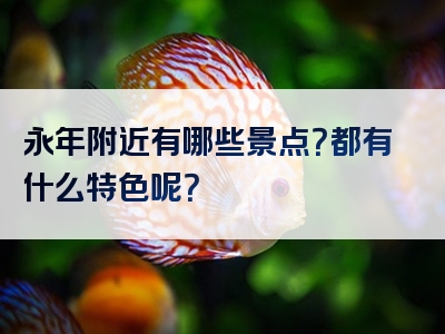 永年附近有哪些景点？都有什么特色呢？