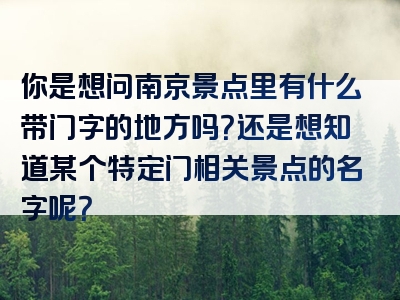 你是想问南京景点里有什么带门字的地方吗？还是想知道某个特定门相关景点的名字呢？