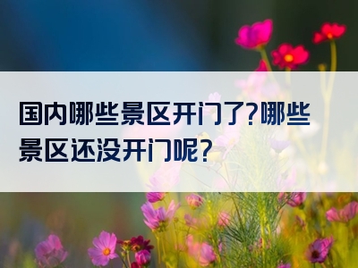 国内哪些景区开门了？哪些景区还没开门呢？