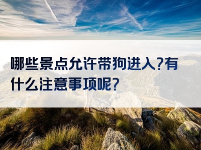 哪些景点允许带狗进入？有什么注意事项呢？