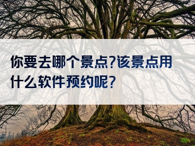 你要去哪个景点？该景点用什么软件预约呢？