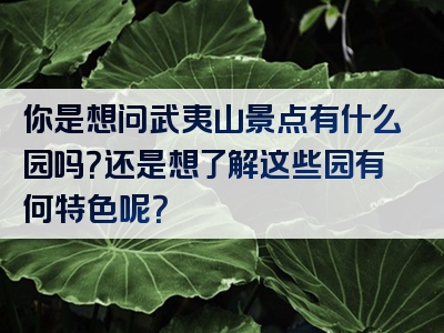 你是想问武夷山景点有什么园吗？还是想了解这些园有何特色呢？