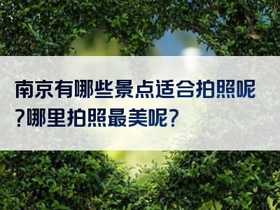 南京有哪些景点适合拍照呢？哪里拍照最美呢？