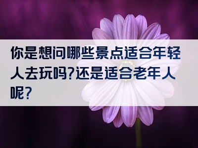 你是想问哪些景点适合年轻人去玩吗？还是适合老年人呢？