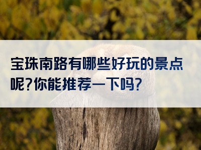 宝珠南路有哪些好玩的景点呢？你能推荐一下吗？