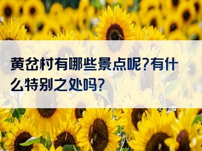 黄岔村有哪些景点呢？有什么特别之处吗？