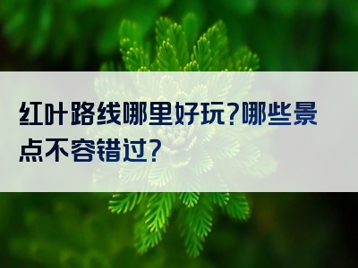 红叶路线哪里好玩？哪些景点不容错过？