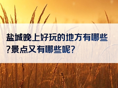 盐城晚上好玩的地方有哪些？景点又有哪些呢？