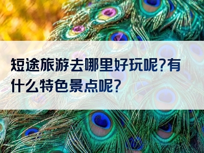 短途旅游去哪里好玩呢？有什么特色景点呢？