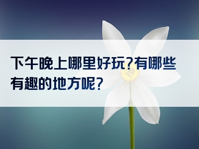 下午晚上哪里好玩？有哪些有趣的地方呢？