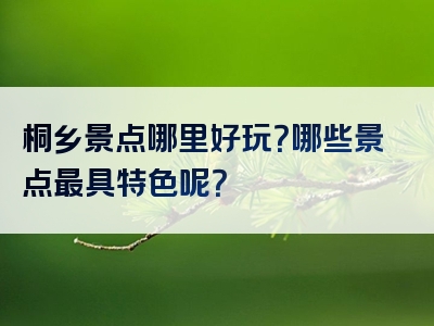 桐乡景点哪里好玩？哪些景点最具特色呢？