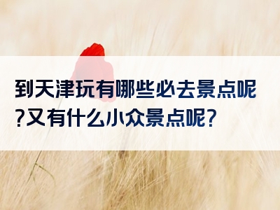 到天津玩有哪些必去景点呢？又有什么小众景点呢？