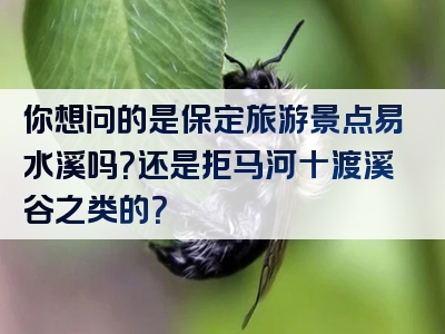 你想问的是保定旅游景点易水溪吗？还是拒马河十渡溪谷之类的？