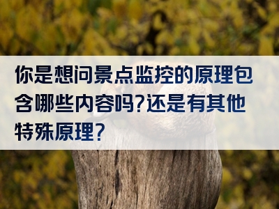 你是想问景点监控的原理包含哪些内容吗？还是有其他特殊原理？