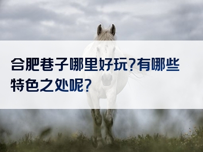 合肥巷子哪里好玩？有哪些特色之处呢？