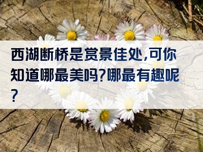 西湖断桥是赏景佳处，可你知道哪最美吗？哪最有趣呢？