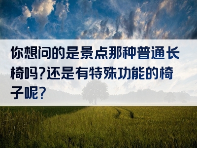 你想问的是景点那种普通长椅吗？还是有特殊功能的椅子呢？