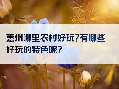 惠州哪里农村好玩？有哪些好玩的特色呢？