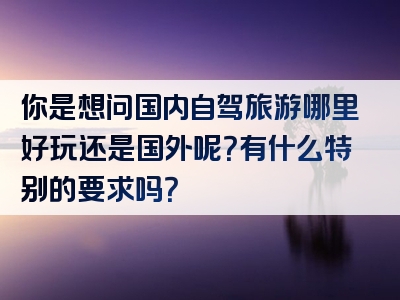 你是想问国内自驾旅游哪里好玩还是国外呢？有什么特别的要求吗？