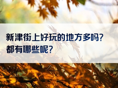 新津街上好玩的地方多吗？都有哪些呢？