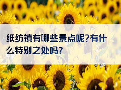 纸纺镇有哪些景点呢？有什么特别之处吗？