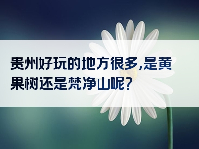 贵州好玩的地方很多，是黄果树还是梵净山呢？