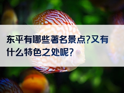 东平有哪些著名景点？又有什么特色之处呢？