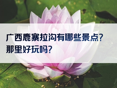 广西鹿寨拉沟有哪些景点？那里好玩吗？