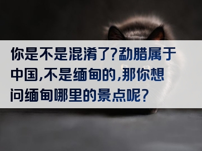 你是不是混淆了？勐腊属于中国，不是缅甸的，那你想问缅甸哪里的景点呢？