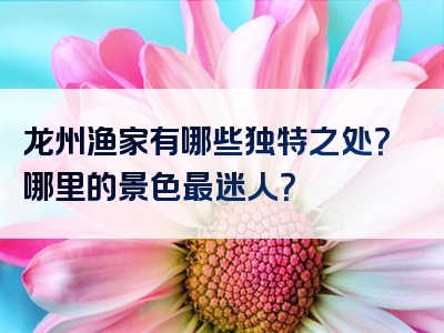 龙州渔家有哪些独特之处？哪里的景色最迷人？