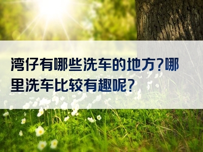 湾仔有哪些洗车的地方？哪里洗车比较有趣呢？