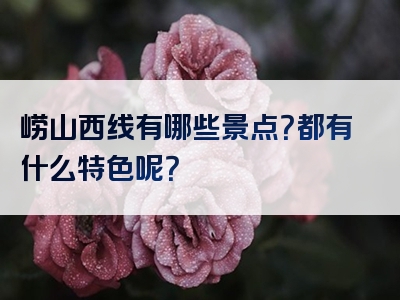 崂山西线有哪些景点？都有什么特色呢？