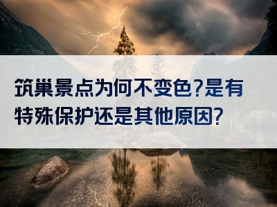 筑巢景点为何不变色？是有特殊保护还是其他原因？