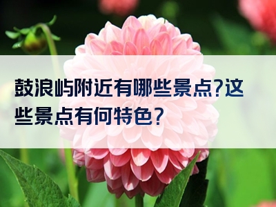 鼓浪屿附近有哪些景点？这些景点有何特色？