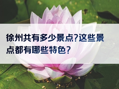 徐州共有多少景点？这些景点都有哪些特色？