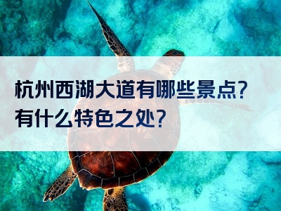 杭州西湖大道有哪些景点？有什么特色之处？