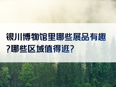 银川博物馆里哪些展品有趣？哪些区域值得逛？