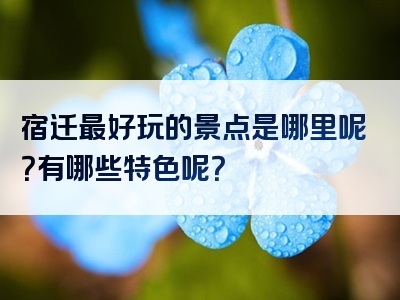 宿迁最好玩的景点是哪里呢？有哪些特色呢？