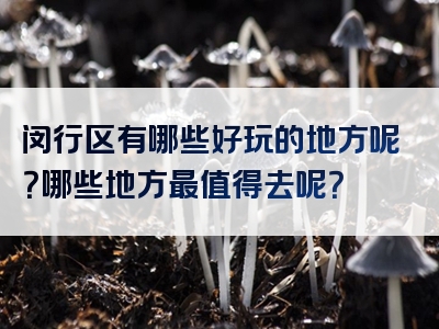 闵行区有哪些好玩的地方呢？哪些地方最值得去呢？