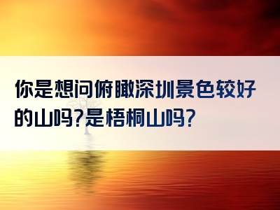 你是想问俯瞰深圳景色较好的山吗？是梧桐山吗？