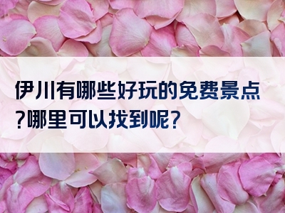 伊川有哪些好玩的免费景点？哪里可以找到呢？